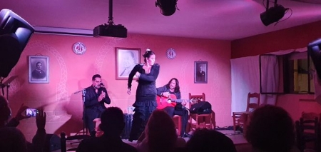 Espectáculo `Sueña el duende` celebrado en la Peña Frasquito Yerbabuena (AYTO. CÚLLAR VEGA) 