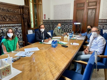 Comisión de seguimiento del Plan Alhambra (JUNTA)