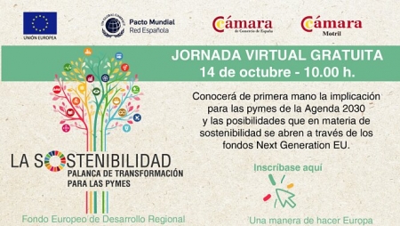 CÁMARA MOTRIL CÁMARA MOTRIL