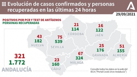 Evolución diaria de la pandemia (JUNTA DE ANDALUCIA)