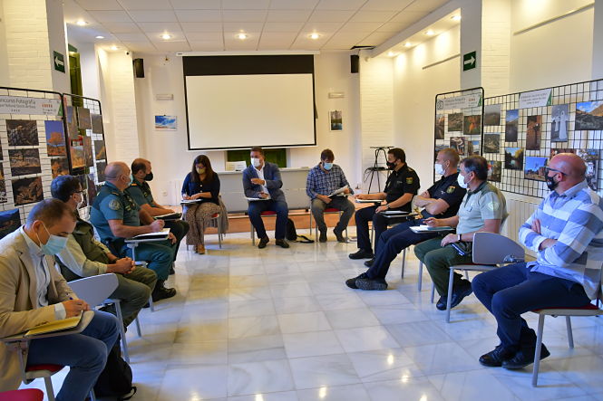 Imagen de la reunión (JUNTA)