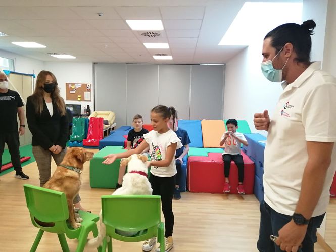 Imagen de las terapias caninas (JUNTA)