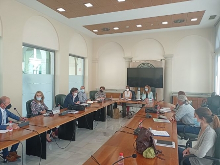 Comisión Provincial de seguimiento (JUNTA) 