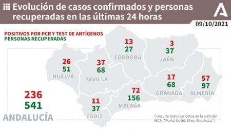 Evolución diaria de la pandemia en Andalucía (JUNTA DE ANDALUCÍA) 