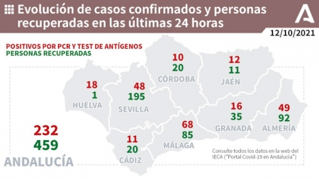 Evolución diaria de la pandemia en Andalucía (JUNTA DE ANDALUCÍA) 