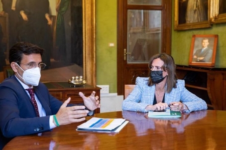 Imagen de la reunión (AYTO. GRANADA)