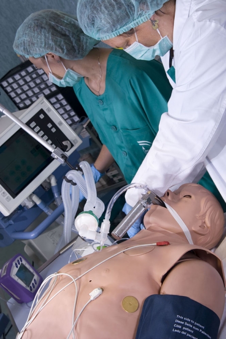 Imagen de una simulación (JUNTA) 