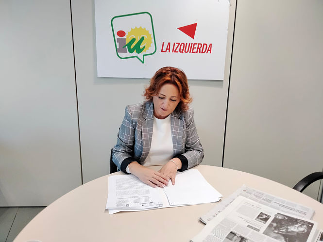 La Diputada Provincial de IU, Mari Carmen Pérez (IU)