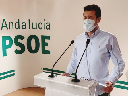  El senador del PSOE, Alejandro Zubeldia (PSOE)
