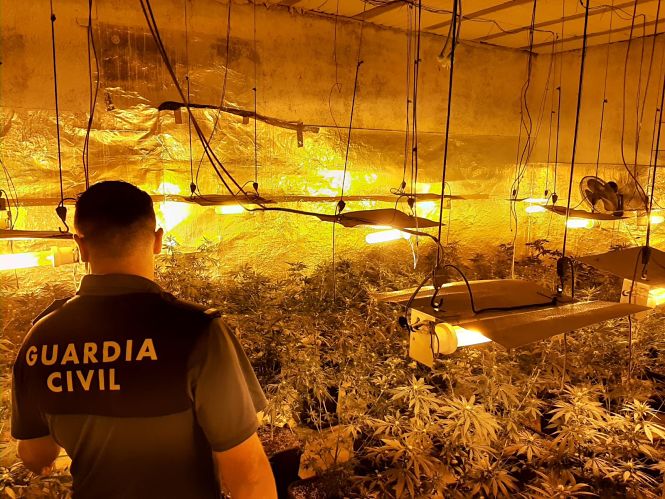 Uno de los centros de producción de marihuana desmantelados (GUARDIA CIVIL)