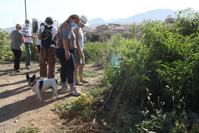 Huertos ecológicos de La Zubia (LA ZUBIA) 