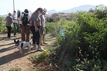Huertos ecológicos de La Zubia (LA ZUBIA) 