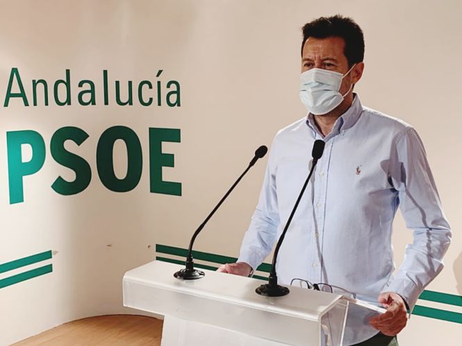 El senador del PSOE, Alejandro Zubeldia (PSOE)