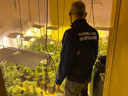 Un agente en una de las plantaciones desmanteladas (GUARDIA CIVIL)