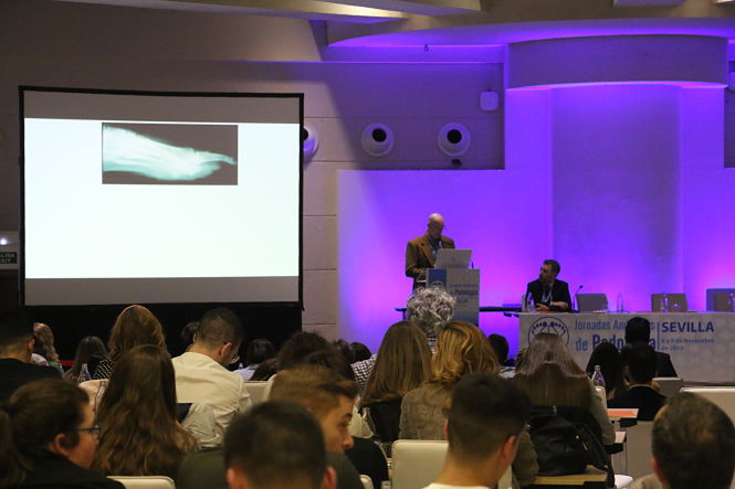 Congreso anterior de podologia