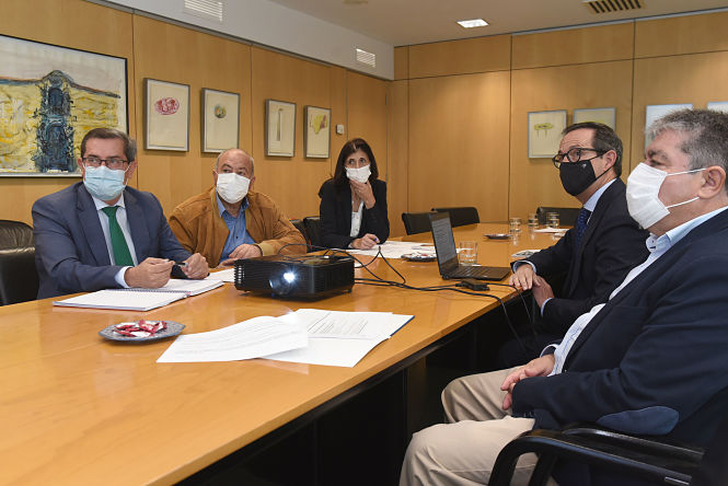 Imagen de la reunión con red eléctrica (R. MARTÍNEZ / DIPGRA)