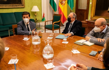 Imagen de la reunión (AYTO. GRANADA)