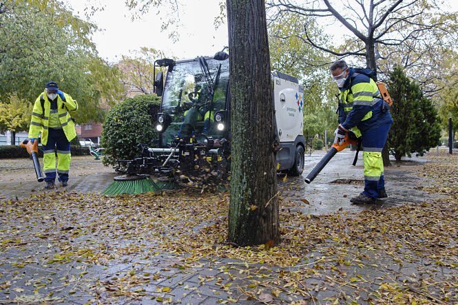 Campaña de recogida de hojas en la capital (AYTO. GRANADA)