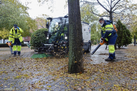 Campaña de recogida de hojas en la capital (AYTO. GRANADA)