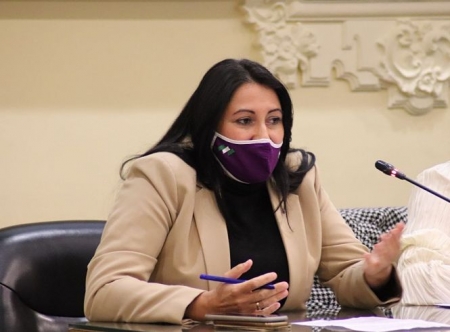 La Diputada Provincial de Podemos, Alejandra Durán (PODEMOS)