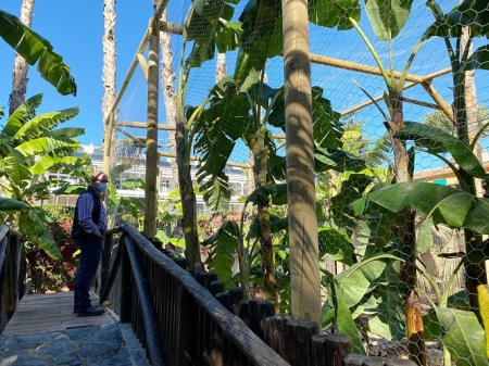 Mejoras en el parque ornitológico `Loro Sexi` (AYTO. ALMUÑÉCAR) Mejoras en el parque ornitológico `Loro Sexi` (AYTO. ALMUÑÉCAR)