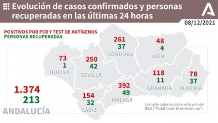 Evolución diaria de la pandemia en Andalucia (JUNTA DE ANDALUCÍA)