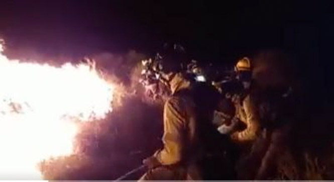 Efectivos del Infoca luchan de madrugada contra el incendio forestal de Gualchos (PLAN INFOCA)