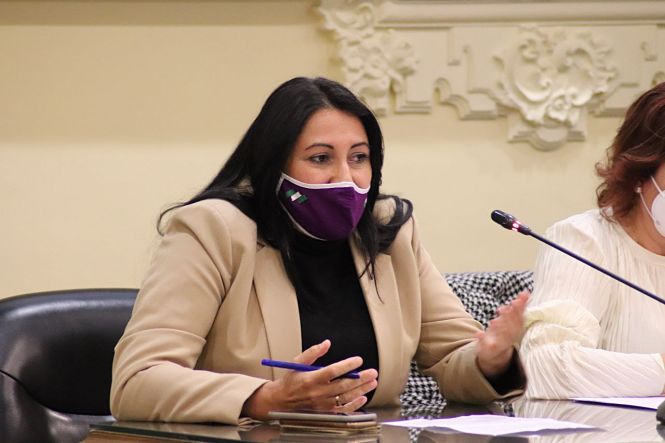 La diputada provincial de Unidas Podemos, Alejandra Durán (PODEMOS)