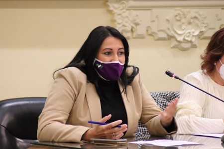 La diputada provincial de Unidas Podemos, Alejandra Durán (PODEMOS)