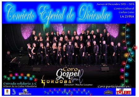 AYUNTAMIENTO DE LA ZUBIA