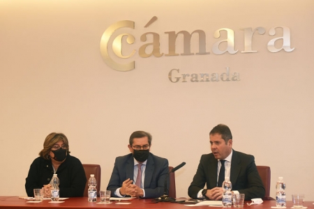 Presentación de la línea de ayudas (CÁMARA GRANADA)