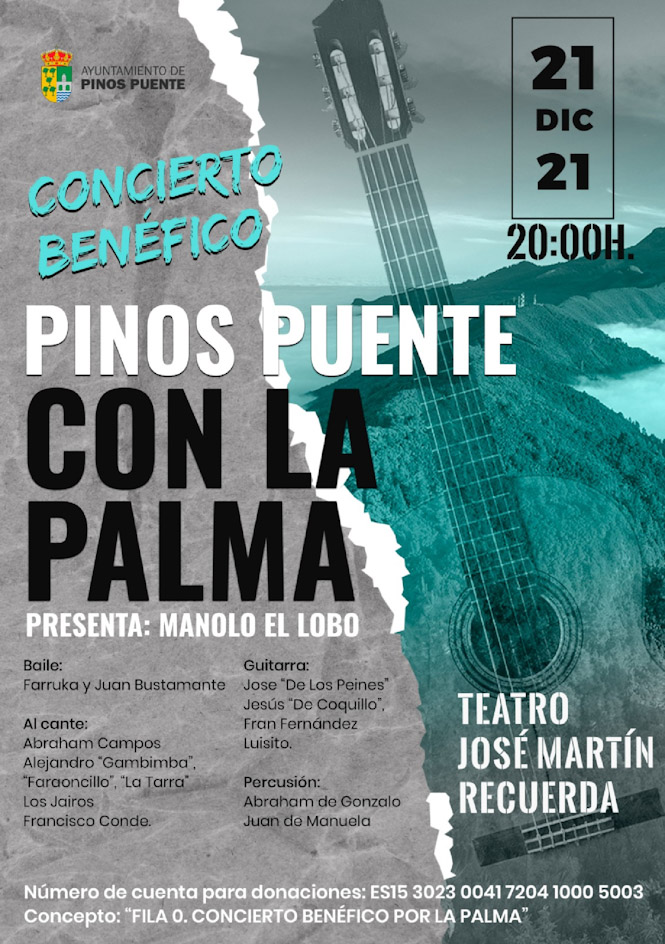 AYUNTAMIENTO PINOS PUENTE 