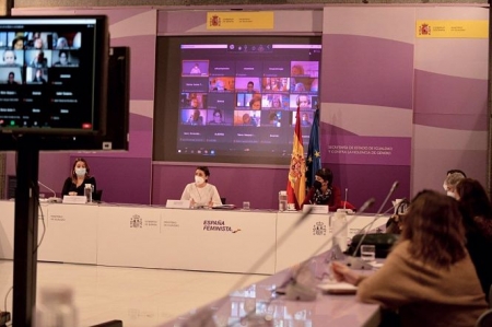 Reunión del Consejo de Participación de la Mujer (INSTITUTO DE LAS MUJERES) 
