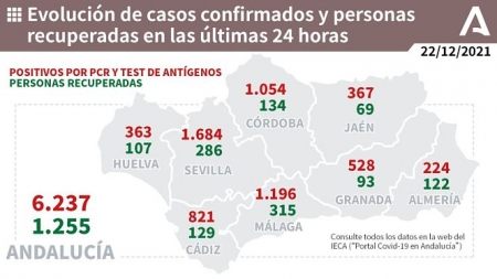 Evolución diaria de la pandemia en Andalucia (JUNTA DE ANDALUCÍA)