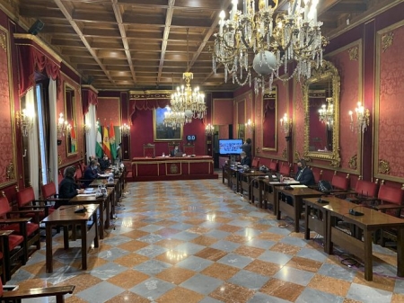 Pleno telemático del Ayuntamiento de Granada (AYTO. GRANADA) 