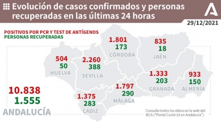 Evolución diaria de la pandemia en Andalucía (JUNTA DE ANDALUCÍA) 