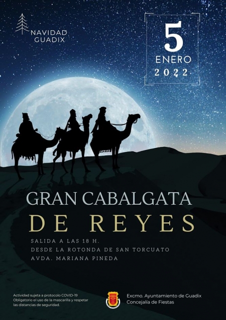 AYUNTAMIENTO DE GUADIX 