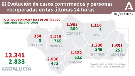 Evolución diaria de la pandemia en Andalucía (JUNTA DE ANDALUCÍA) 