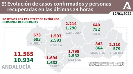 Evolución diaria de la pandemia en Andalucía (JUNTA DE ANDALUCIA)