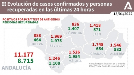 Evolución diaria de la pandemia en Andalucía (JUNTA DE ANDALUCÍA) 
