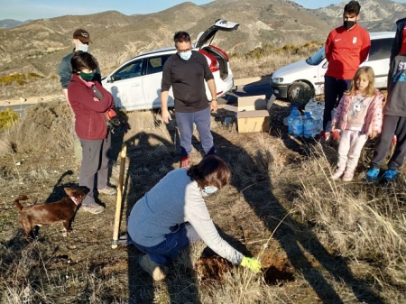 Plantación de árboles llevada a cabo en el Barranco Pollino de Monachil (AYTO. MONACHIL) Plantación de árboles llevada a cabo en el Barranco Pollino de Monachil (AYTO. MONACHIL)