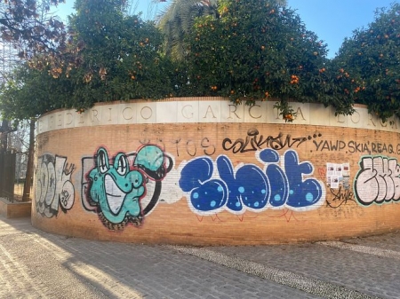 Imagen de la pintada (PP)