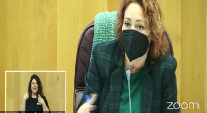 La Diputada Provincial de IU, Mari Carmen Pérez (IU)