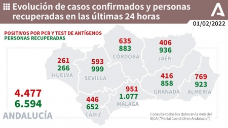 Evolución diaria de la pandemia en Andalucía (JUNTA DE ANDALUCÍA) 