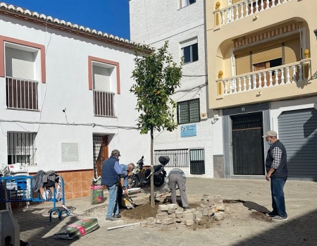 Obras en la Plaza San José de La Herradura (AYTO. ALMUÑÉCAR)