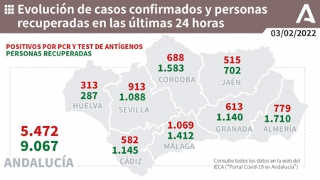 Evolución diaria de la pandemia en Andalucía (JUNTA DE ANDALUCÍA) 