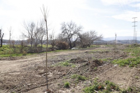 Nueva zona verde de Huétor Tájar, en la que el Ayuntamiento está sembrando más de 400 árboles (AYTO. HUÉTOR TÁJAR)