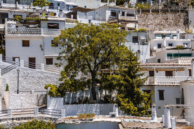 Imagen de Pampaneira (AYTO. PAMPANEIRA)