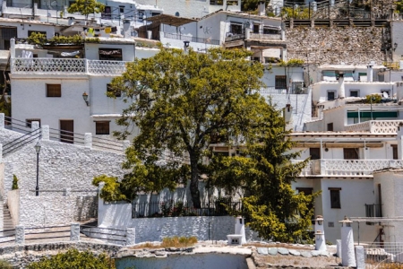 Imagen de Pampaneira (AYTO. PAMPANEIRA) Imagen de Pampaneira (AYTO. PAMPANEIRA)