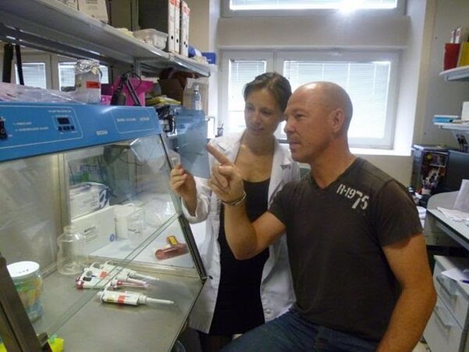 Estudio sobre terapia para revertir la cicatrización desmesurada del hígado (FUNDACIÓN DESCUBRE)